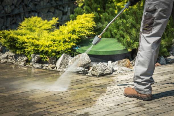 Best Roof Washing  in Watsessing, NJ