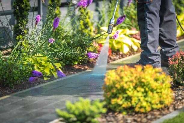 Best Fence Cleaning  in Watsessing, NJ