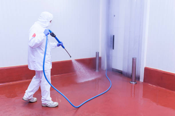 Professional Pressure Washing Services in Watsessing, NJ