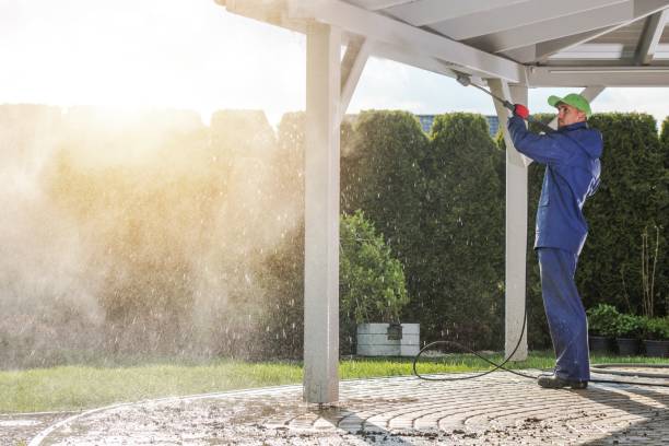 Best Solar Panel Cleaning  in Watsessing, NJ